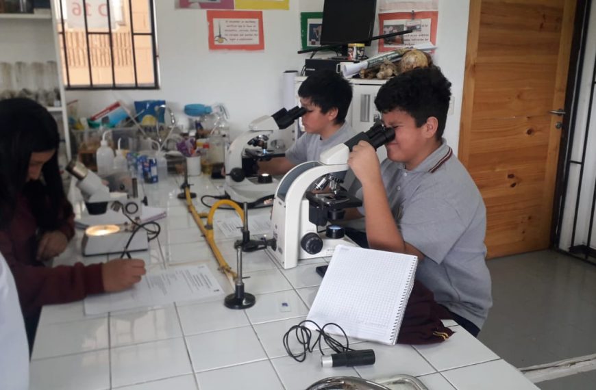 🔬 ¡APRENDIENDO CIENCIA EN ACCIÓN! 🔬