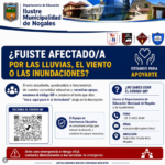 AFICHE BRUNO