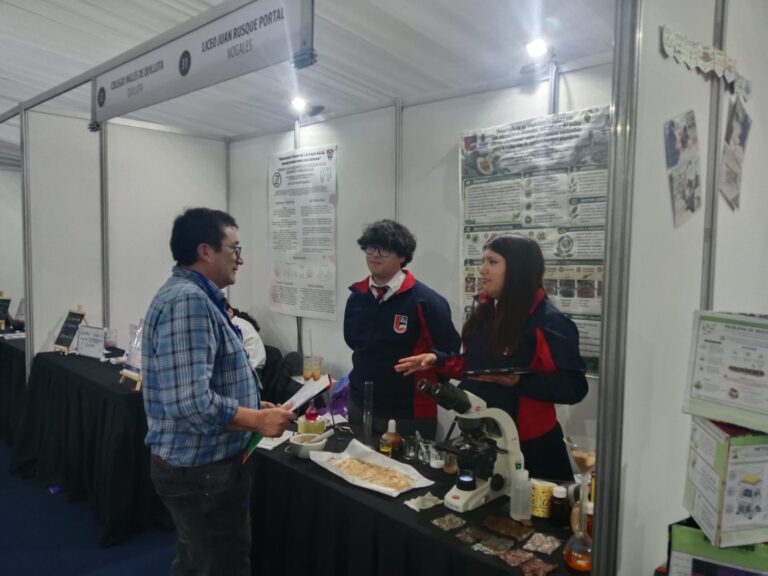 WhatsApp Image 2026-10-07 at 19.21.57 (1)