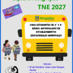 afiche captura TNE